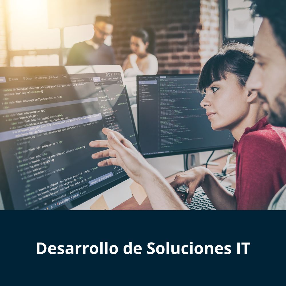 desarrollo IT